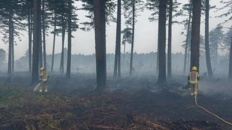 Two firefighters are walking through a section of burnt forest, their backs are to the camera. The firefighters wear a uniform featuring a beige coloured jacket and trousers with yellow reflective panelling around the arms, hips and ankles as well as a bright yellow hard helmet on their heads. They are both carrying hoses as they walk through blackened gorse on the floor, with smoke wafting up into the air. There are also a number of tall thin pine trees and more trees seen in the distance.