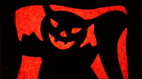 A close-up of part of a halloween lantern, showing the silhouette of a stylised black cat with a face slightly like a carved pumpkin