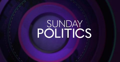 Logo image of Sunday Politics, which is the words in white font on a purple background with a circular pattern