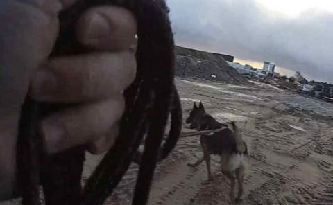 Bodycam footage shows the dog unit at work