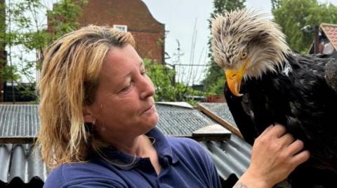 Sarah interacts closely with Aspen after he was found. He is perched on the gloved hand and appears calm, with his head lowered slightly as Sarah touches his chest feathers.