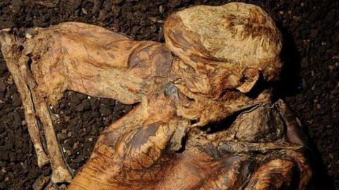 The head and upper torso of the Lindow Man, with leathery, tan skin and remnants of his hair and beard still attached. 