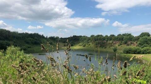 Flooded disused quarry surrounded by plants and trees