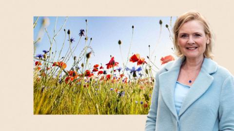 Poppies and cornflowers at agricultural field against sun and blue sky, with an image of Martha to the side