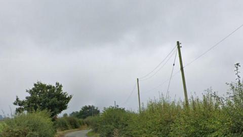 Two power lines hang across wooden poles on the side of a rural road. The sky is grey and there are trees and bushes on each side.