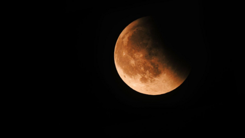 Reddish coloured Moon hangs in night sky