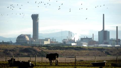 Sellafield nuclear site. A number of buildings can be seen in the distance. A cow stands in a field in the foreground.