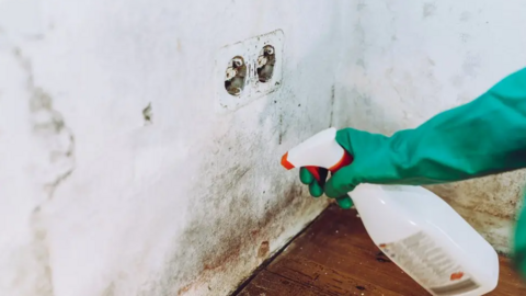 A person in thick, green gloves is spraying something on a wall to that has black mould and damp on