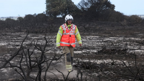 A lone fireman in yellow and orange hi-vi suit walks through scorched ground, burned shrubbery in the foreground