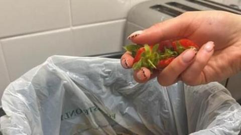 Shot of a hand holding the tops of strawberries, over a bin with a plastic bin liner.