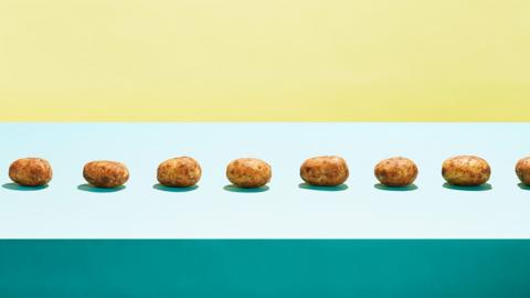 A row of potatoes