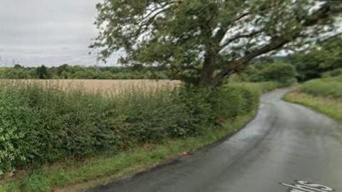 A Google Street View image of a country lane with a large tree leaning towards the road