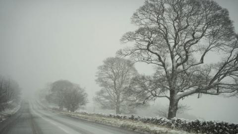 A light covering of snow on a road