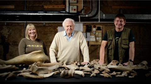 Sir David Attenborough wearing a cream long-sleeved jumper and a light blue shirt. He stands behind a table of mammoth bones next to Dr Neville Hollingworth, who is on his left, and Sally Hollingworth, who is on his right.