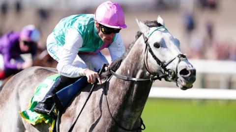Field of Gold winning the Craven Stakes at Newmarket