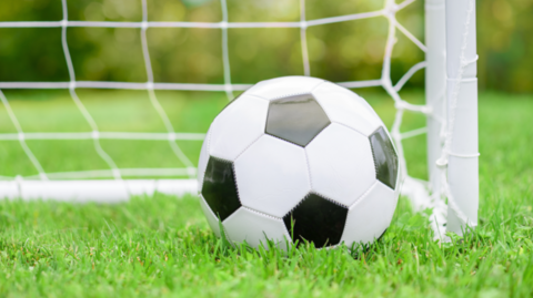 A generic photo of a black and white football near a football post and white net, with bushes and grass blurred in the background.