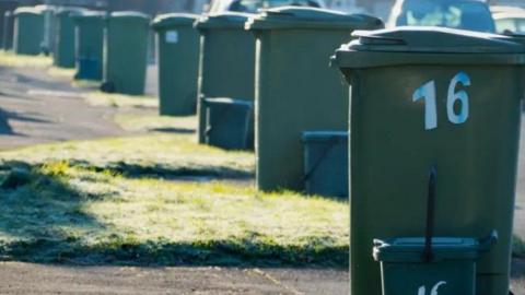 Green waste wheelie bins lined up on a grass verge in the sunshine