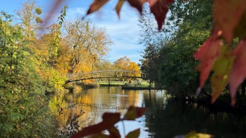 A river with a bridge passing it over it surrounded yellow, red and green trees under a blue sky