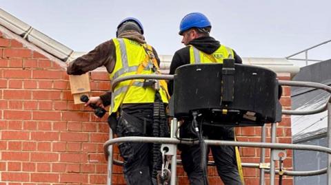 A bat box being installed on a wall of the Bradford Live music venue