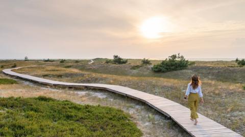 Woman walking at sunset, Baltic sea, Germany