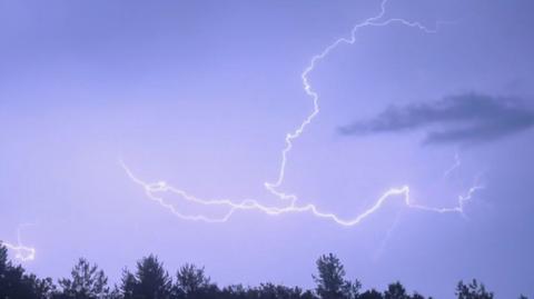 A bolt of lightning fracturing and illuminating an otherwise dark sky above a line of trees.