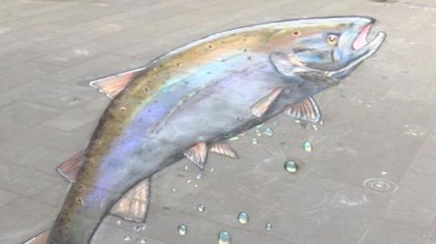 A chalk salmon on a pavement