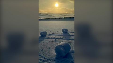 Snowy field with snow rollers in Scotland.