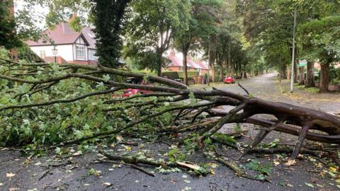 A fallen tree blocks a road in Preston, with two cars parked further down the road and houses along the road, which is lined with trees.