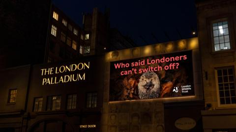At night, an illuminated screen beside the London Palladium shows a hedgehog curled among autumn leaves, with the slogan "Who said Londoners can't switch off?" and the London Wildlife Trust logo.