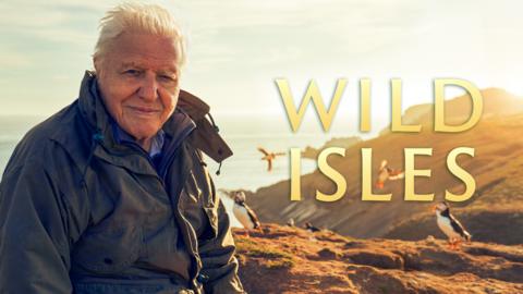 Wild Isles