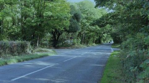 A view of a country road. The road is black tarmac and there are large green trees framing either side of the road, as well as hedging.