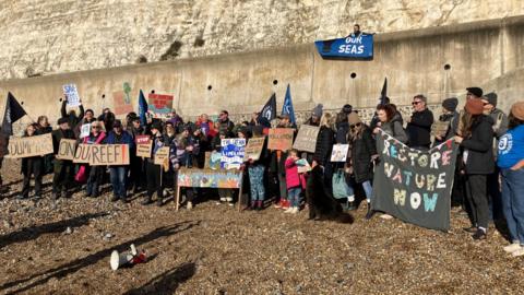 A score of protesters hold placards and flags