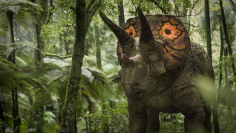 A Triceratops with colourful eye spots on its frill