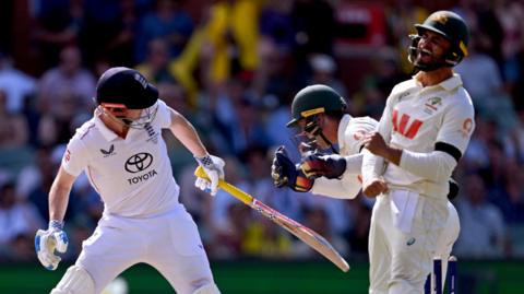 Australia celebrate as Harry Brook is dismissed