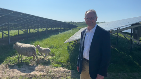 Chris Ambler in a field with solar panels and sheep
