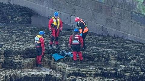 Three people in red overalls and blue hats, one with a red life jacket and two with yellow life jackets. There is another person with dark blue overalls and an orange life jacket. They are surrounding a dolphin laid on a blue matt on rocks on the coast. There is a large concrete block wall behind them.
