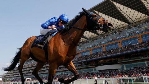 Trawlerman ridden by William Buick