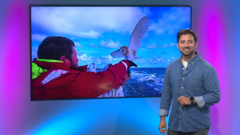 Ricky in the Newsround studio