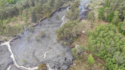 Fire at Frensham Common