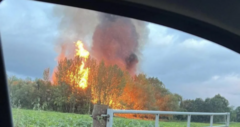 Flames and smoke leap into the sky behind a row of trees