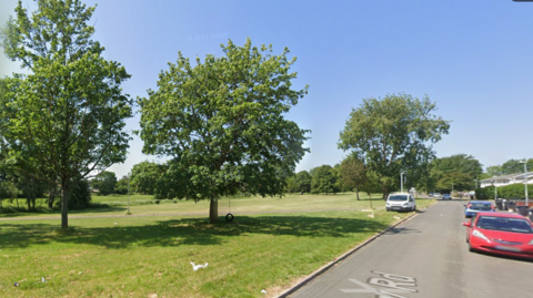 Green park on a sunny day with three trees set against a blue sky. A tyre swing can be seen hanging from one tree. There is a road nearby with several parked cars.