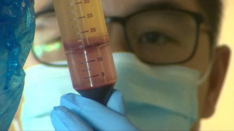 Scientist holding a tube