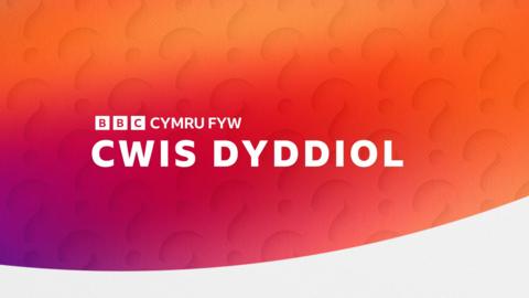 cwis dyddiol promo