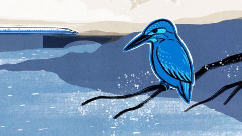 Illustration of a kingfisher perched on a branch with a bullet train in the background