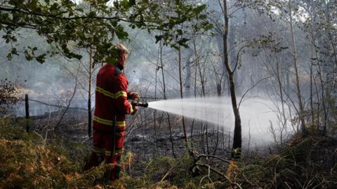 A firefighter using a hose in a area of woodland where a lot of smoke can be seen.