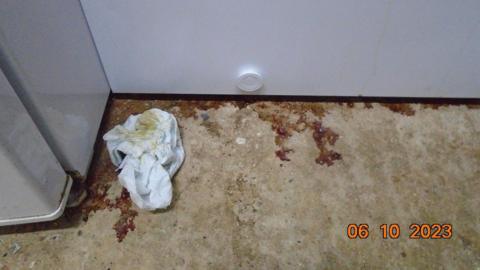 The bottom of a wall and fridge with what looks to be scrunched up tissue on the floor with dried blood on the concrete.