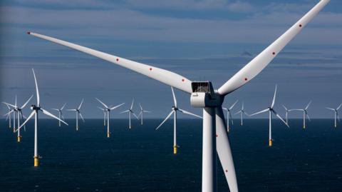 dozens of wind turbines in the sea