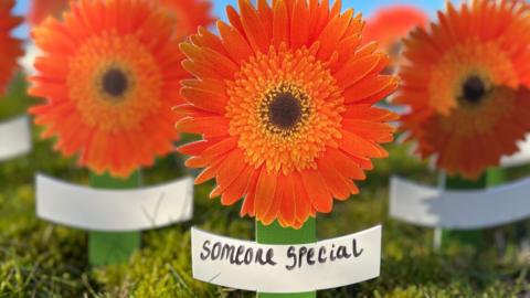 Gerbera flower peg