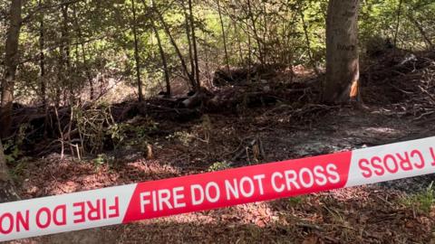 An image of a charred woodland with a piece of red and white tape across it which reads FIRE DO NOT CROSS