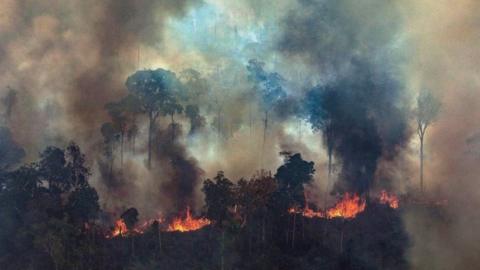 A handout photo from Greenpeace Brazil showing smoke rising from the fire at the Amazon forest on 23 August 2019